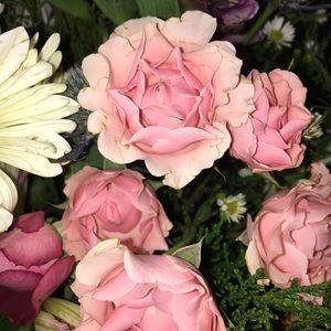 Meet your Posher, Sally